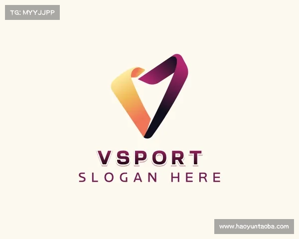 了解VSport